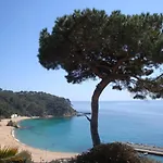 Mirador