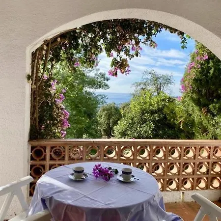 Mirador فيلة