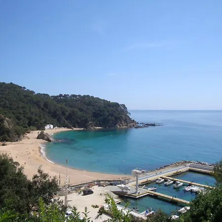 فيلة Mirador