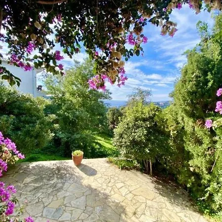 فيلة Mirador *