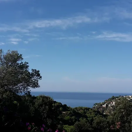 فيلة Mirador يوريت دي مار