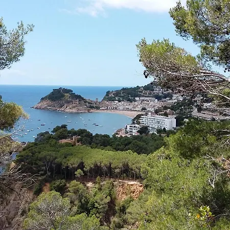 Mirador يوريت دي مار